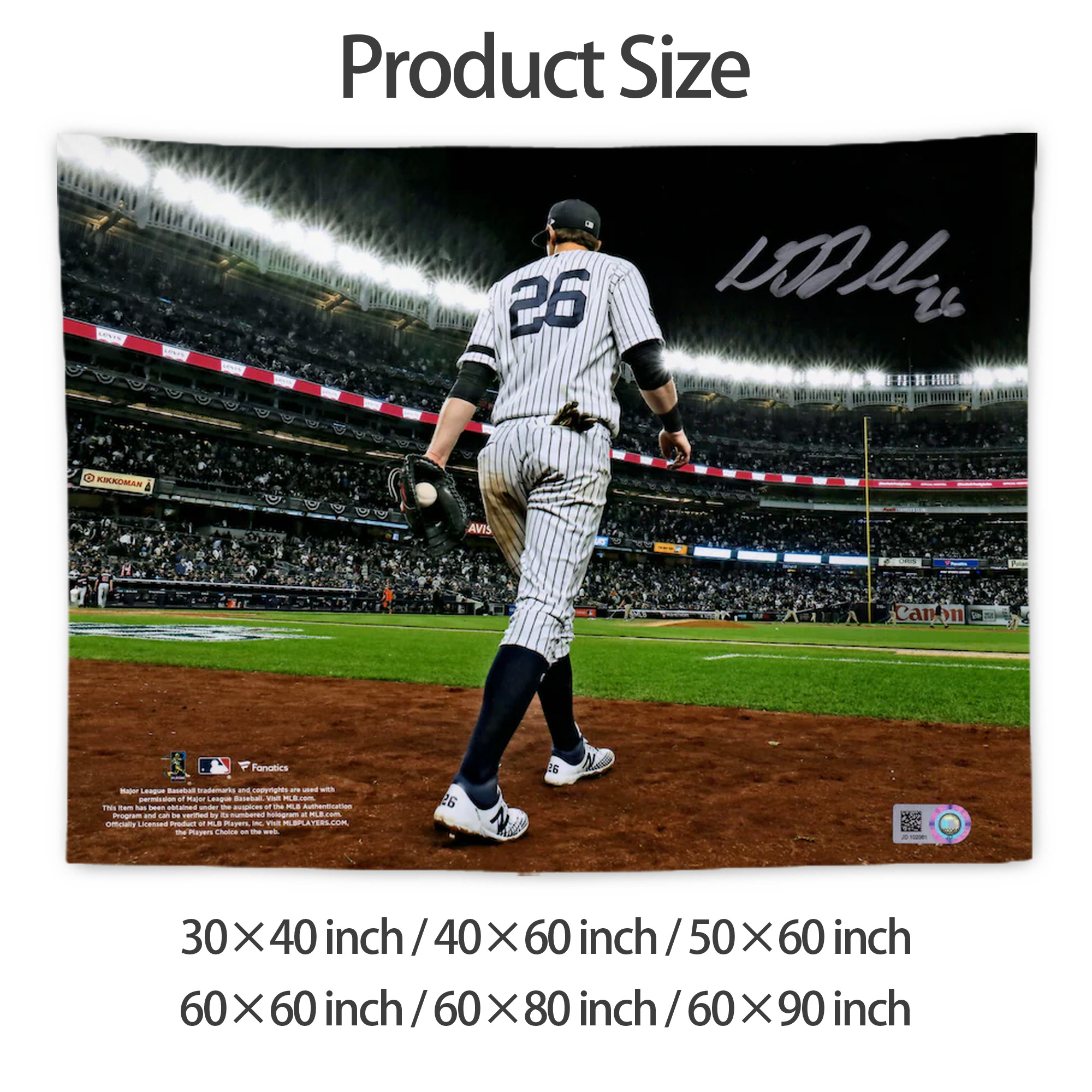 DJ Lemahieu 22 Wall Tapestry For Bedroom Aesthetic – Boho Style Polyester Fabric Wall Hanging With Hooks – 60 X 90 Inch Large Size, Lightweight, Durable, Easy To Hang