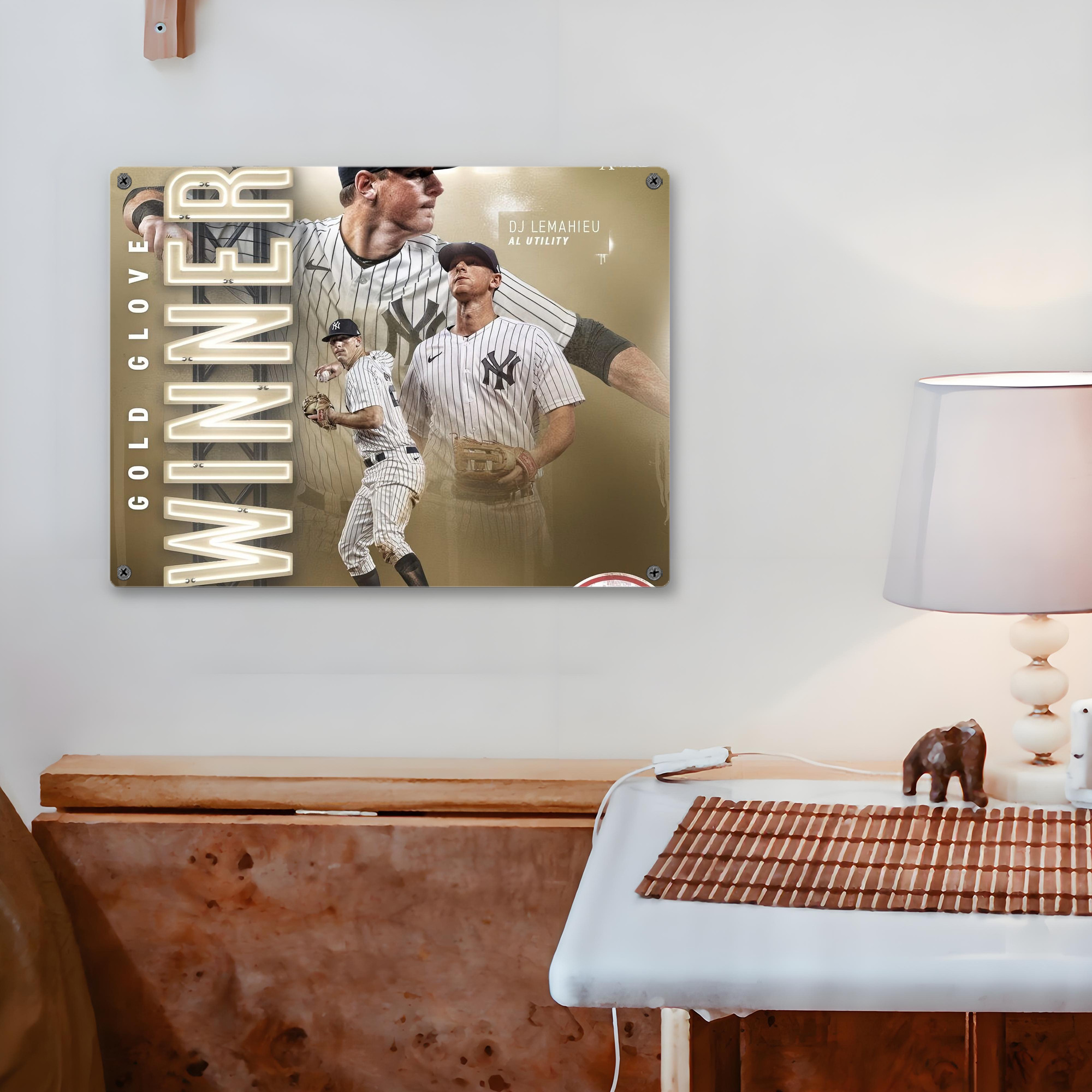 DJ Lemahieu 20 Vintage Metal Tin Sign 16x12 – Full-Print Iron Wall Decor – Durable, Fade-Resistant – Easy To Hang – Ideal For Home, Bar, Kitchen & Office Decor