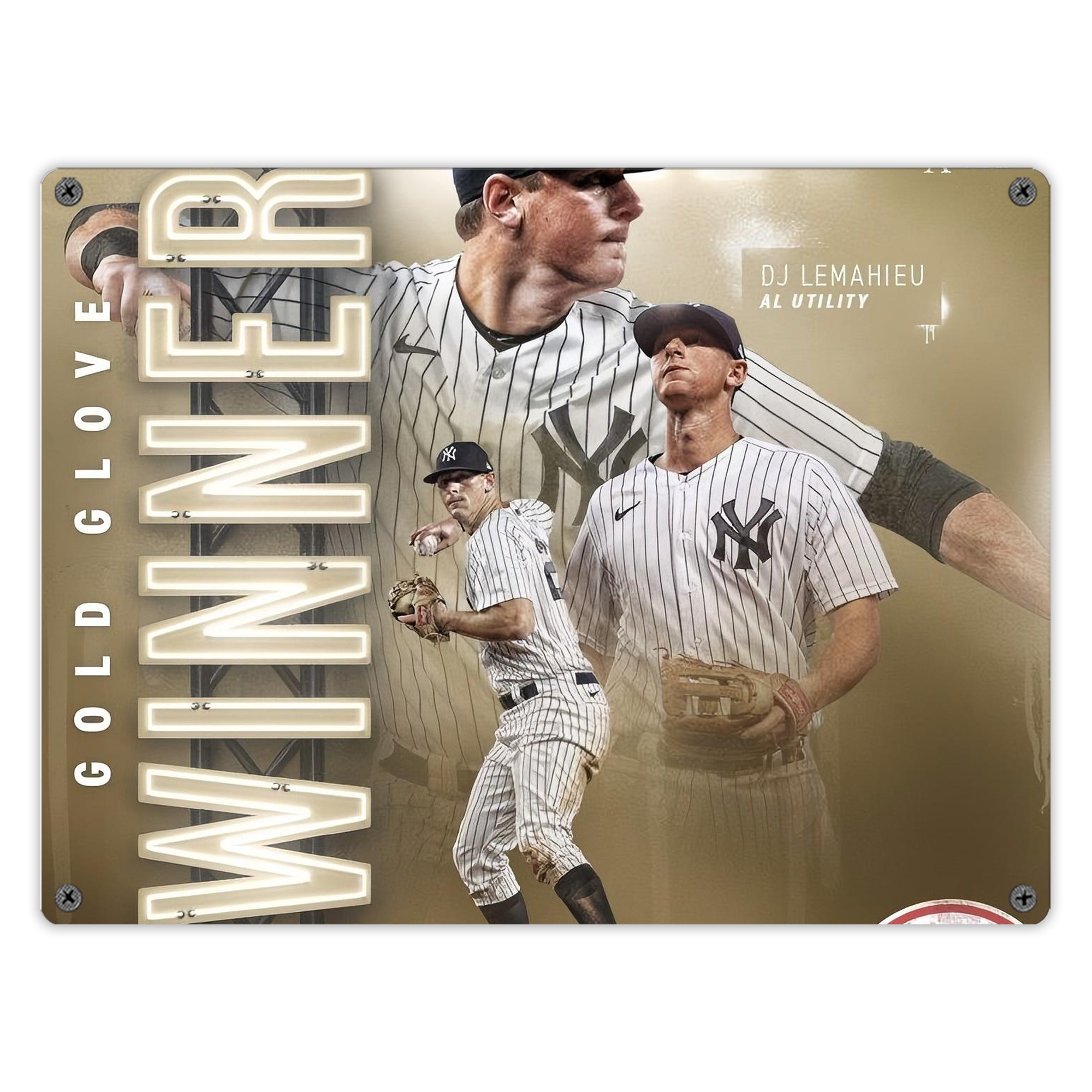 DJ Lemahieu 20 Vintage Metal Tin Sign 16x12 – Full-Print Iron Wall Decor – Durable, Fade-Resistant – Easy To Hang – Ideal For Home, Bar, Kitchen & Office Decor