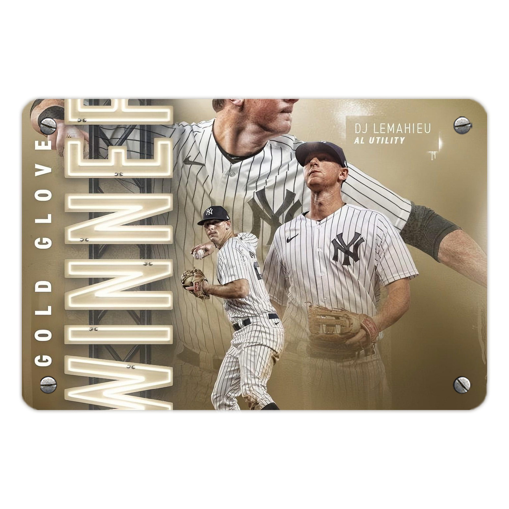 DJ Lemahieu 20 Metal Tin Sign 12x8inch - Premium Full-Print Decorative Wall Art, Durable Rust-Resistant Metal Plaque For Living Room, Bedroom, Kitchen, Office, Bar Décor