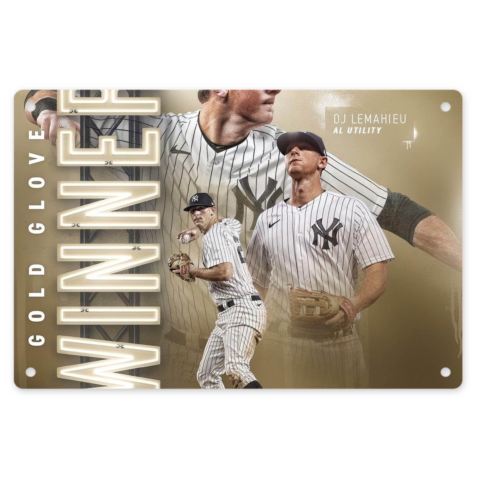 DJ Lemahieu 20 Decorative Aluminum Plaque – Horizontal Design – Durable, Stylish, Easy To Install – Ideal For Home, Office, Bar, And More