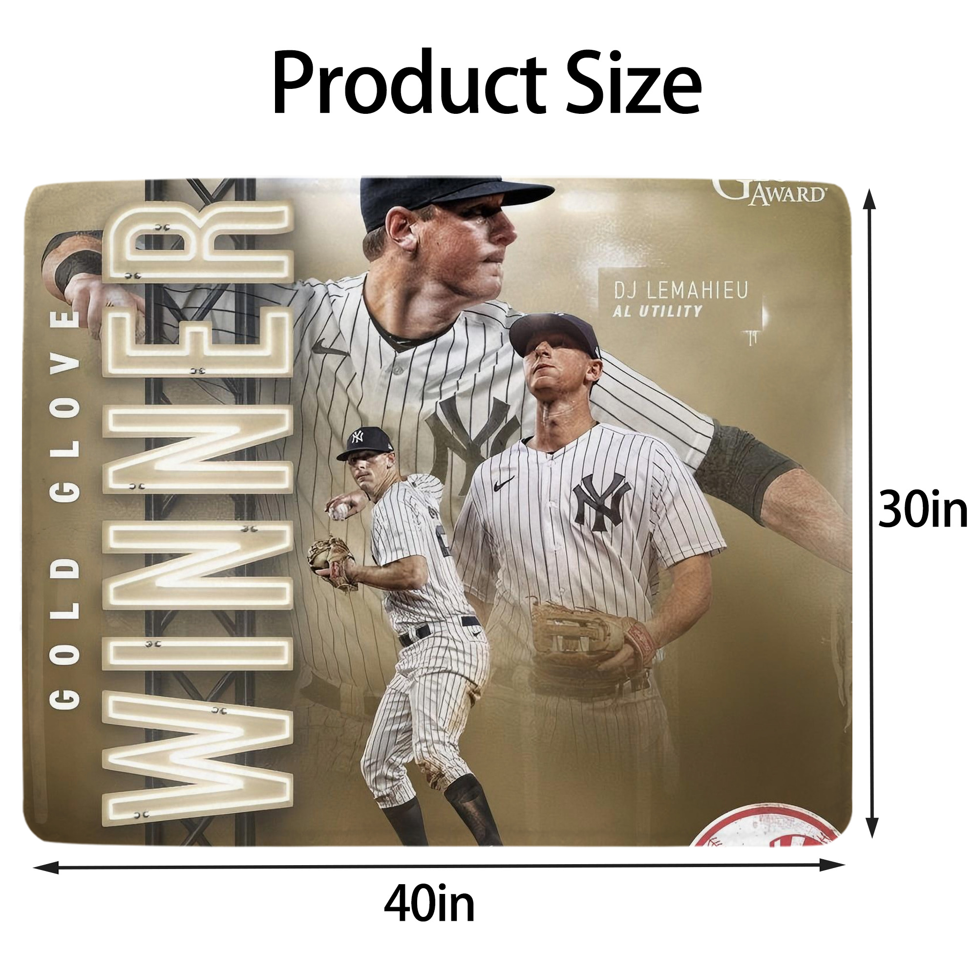 DJ Lemahieu 20 Soft Plush Fleece Blanket 30x40 Inch - 300GSM Flannel, Ultra Soft & Warm, Lightweight & Durable, Perfect For Kids, Adults, Couch, Bed, Camping, Travel, Gift For Family & Friends