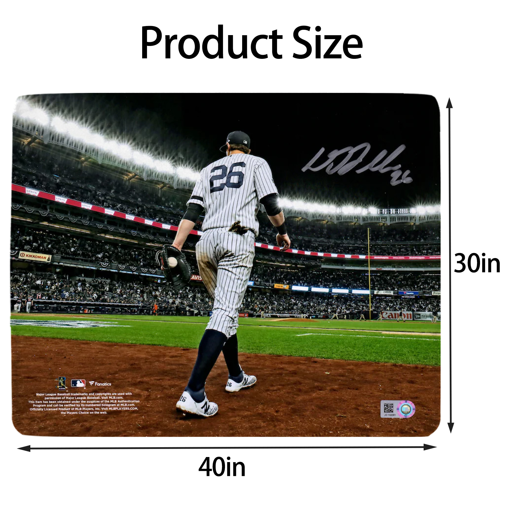 DJ Lemahieu 22 Soft Plush Fleece Blanket 30x40 Inch - 300GSM Flannel, Ultra Soft & Warm, Lightweight & Durable, Perfect For Kids, Adults, Couch, Bed, Camping, Travel, Gift For Family & Friends