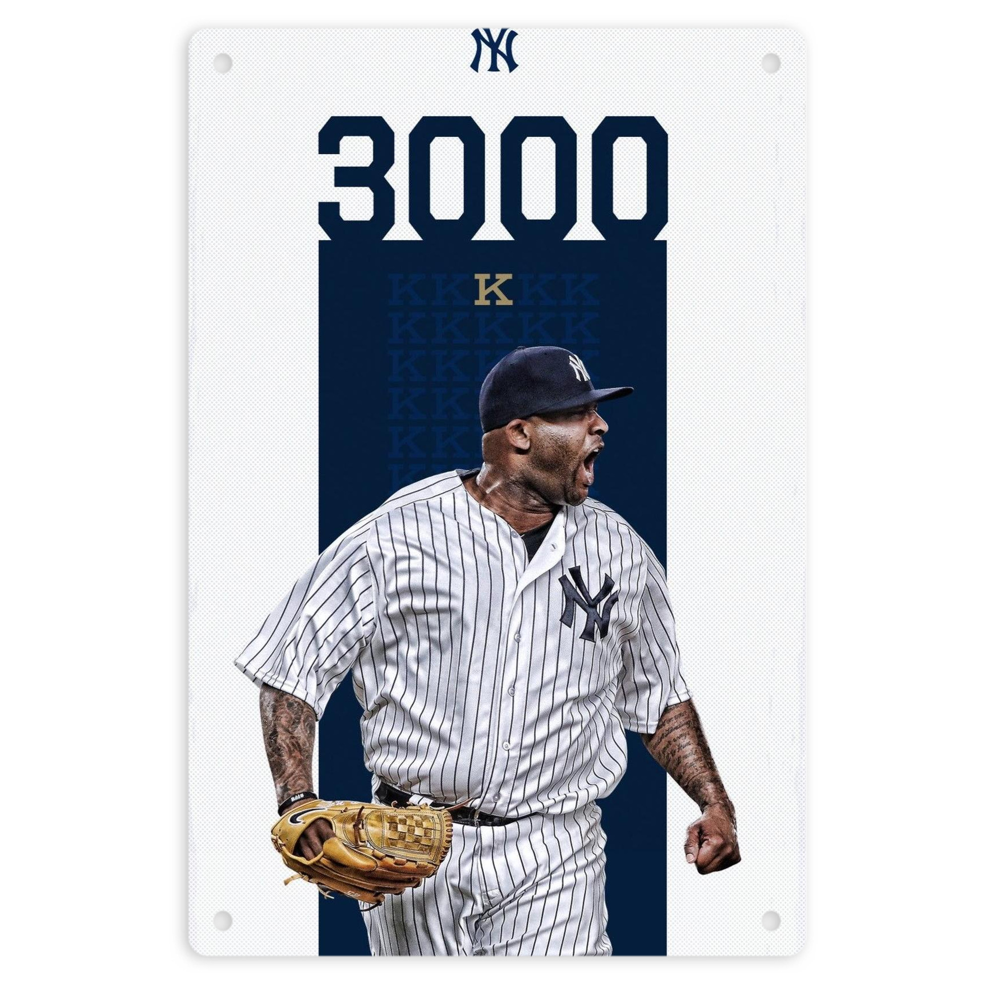 CC Sabatnia 7 8x12inch Vertical Aluminum Sign - Durable Fade-Resistant Indoor/Outdoor Safety & Information Plaque For Office, Hotel, Restaurant, Bar, Public Spaces