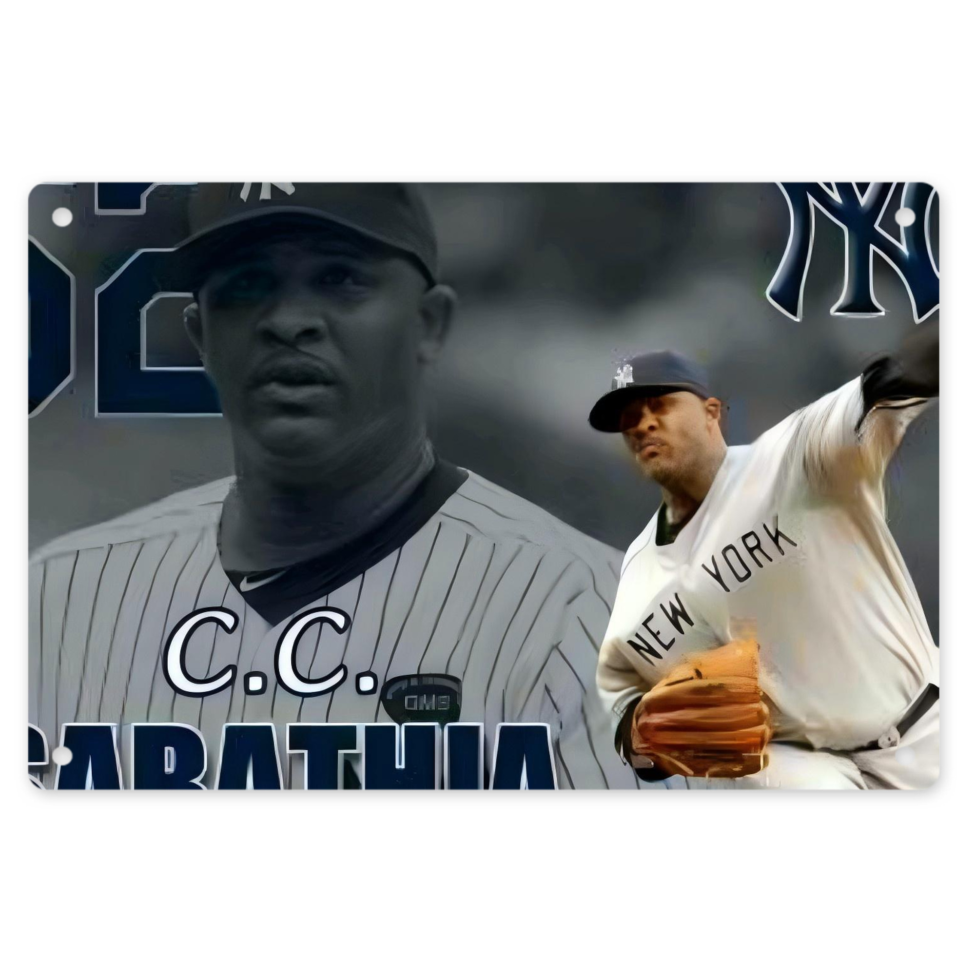 CC Sabatnia 32 Decorative Aluminum Plaque – Horizontal Design – Durable, Stylish, Easy To Install – Ideal For Home, Office, Bar, And More